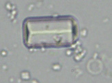 small-crystal